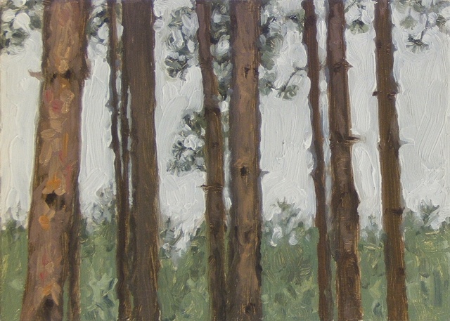 houghton pines III