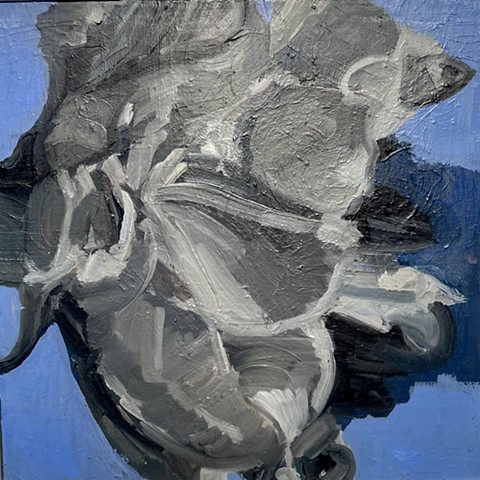 Cornflower