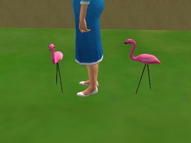 Between the Pink Flamingos