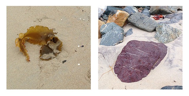 A photographic meditation of sea and shore, rocks and seaweed