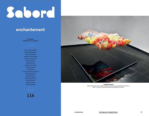 SODEP, Prix création visuelle 2021 : Elisabeth Picard avec l'oeuvre Rainbow Mountains dans Le Sabord 116