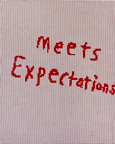 MEETS EXPECTATIONS