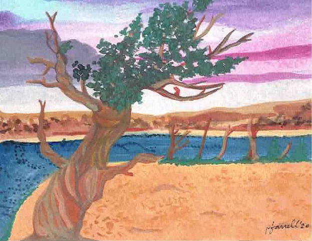 Desert Tree Watercolor
