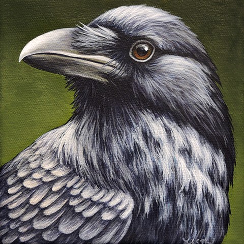 Raven portrait #7