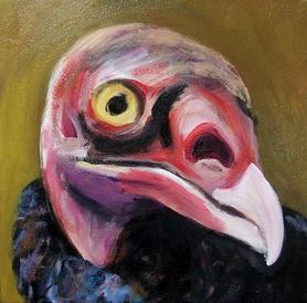 Turkey Vulture portrait (step 2)