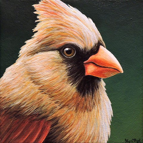 Cardinal portrait #23