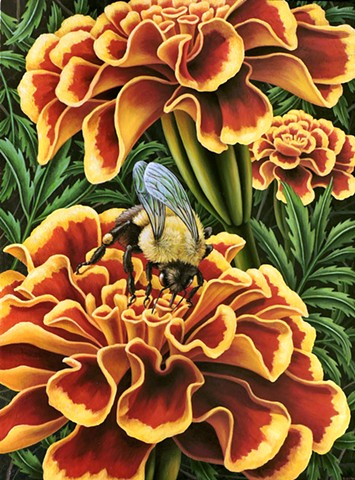 Three Marigolds and Bumblebee