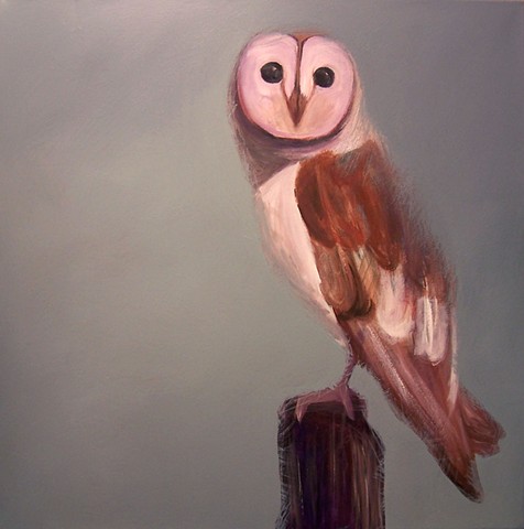 Barn Owl #2 (perched)  (step 6/9)