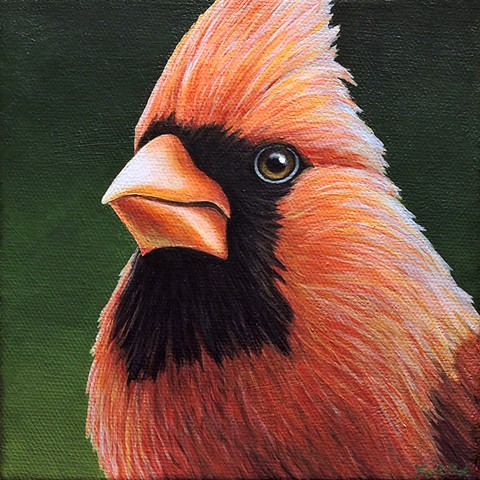 Cardinal portrait #22