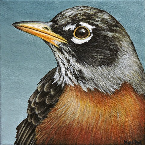 Robin portrait #4