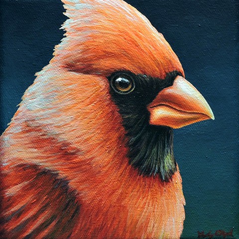 Cardinal portrait #26