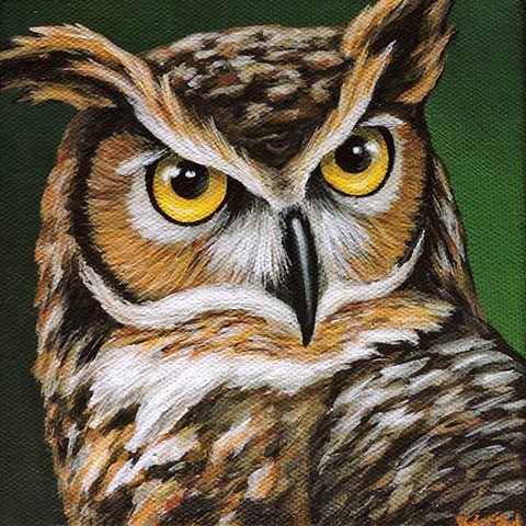 Great Horned Owl Portrait #2