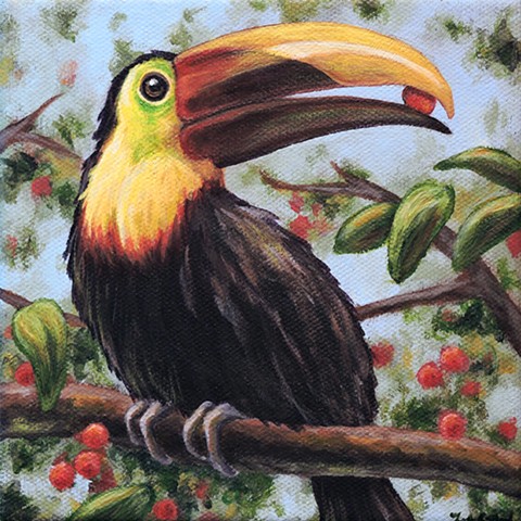 Yellow-billed Toucan