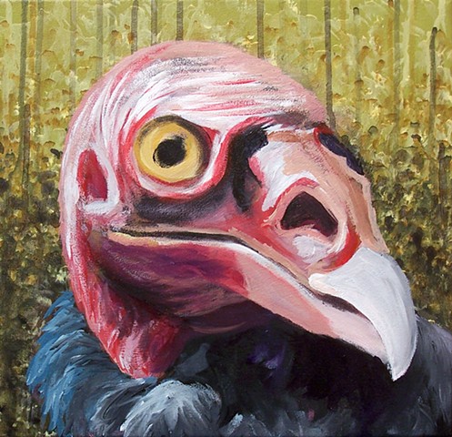 Turkey Vulture portrait (step 7)