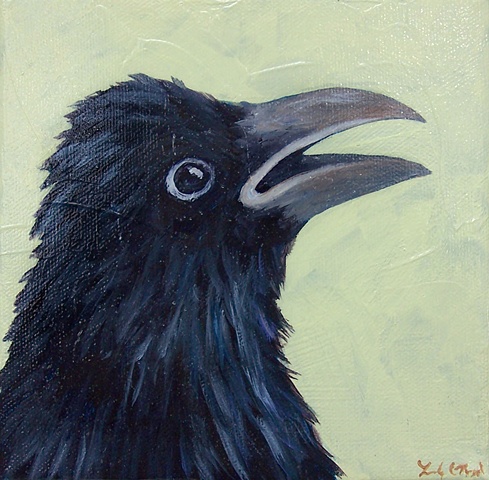 Raven Portrait #3