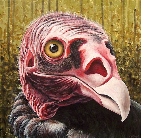 Turkey Vulture portrait (step 10/ finished)