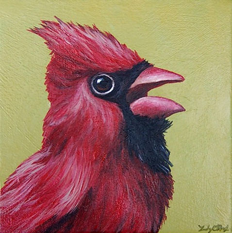 Cardinal portrait 