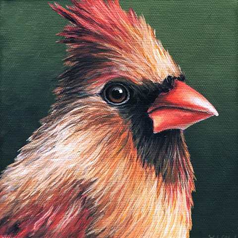 Cardinal portrait #10