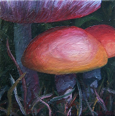 Wild Mushrooms #4