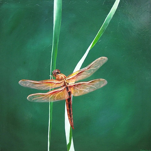 Dragonfly on Blade of Grass #2