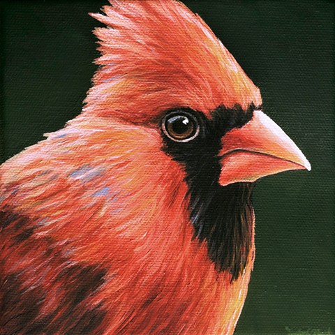Cardinal portrait #9 