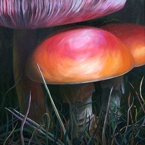 Wild Mushrooms #3