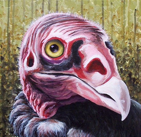 Turkey Vulture portrait (step 9)