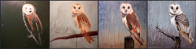 Barn Owl #2 (perched)