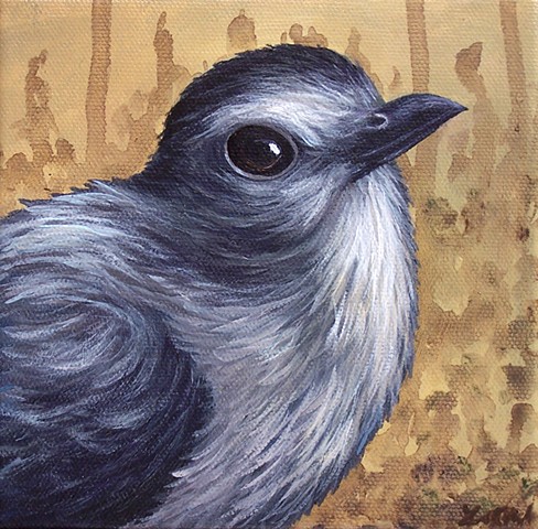 Gray Catbird portrait 