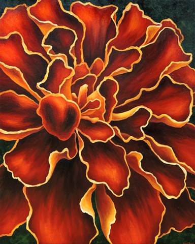 Red Marigold 