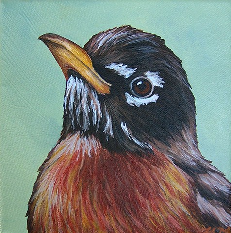 Robin portrait
