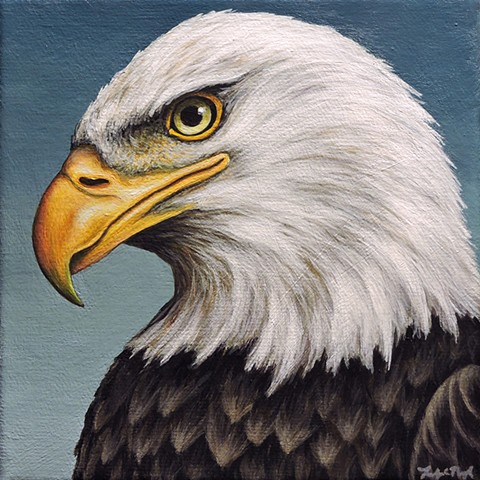 Bald Eagle portrait #2