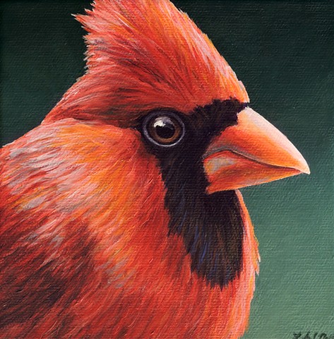 Cardinal portrait #7