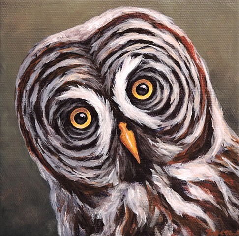 Great Gray Owl portrait