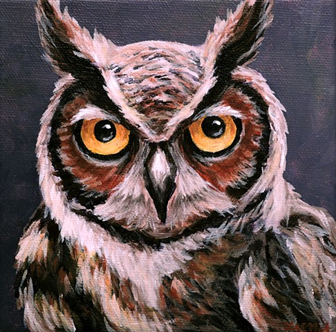 Great-Horned Owl portrait 