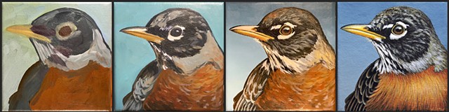 Bird portraits