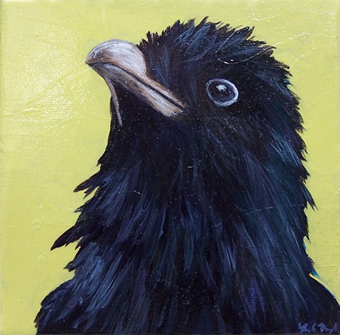 Raven Portrait #2