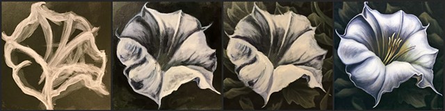 Jimson Weed #4