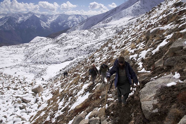 Team of Sherpas and labourers trek up a high altitude to graft a glacier
