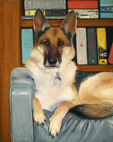 Germand Shepherd, Dog Portrait, Pastel Portrait, Commissioned portrait, Jan Maitland 
