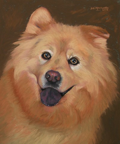 Dog Portrait pastel portrait, artist Jan Maitland, Oregon artist