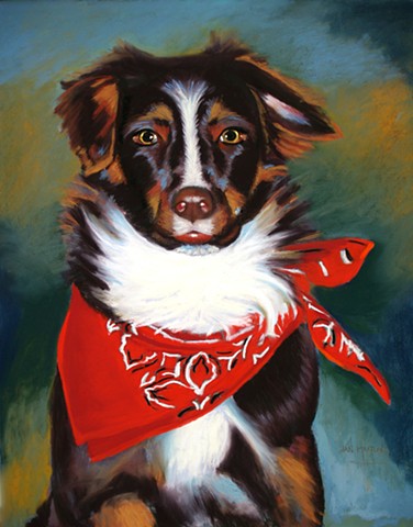 Australian Shepherd dog portrait, pastel artist Jan Maitland