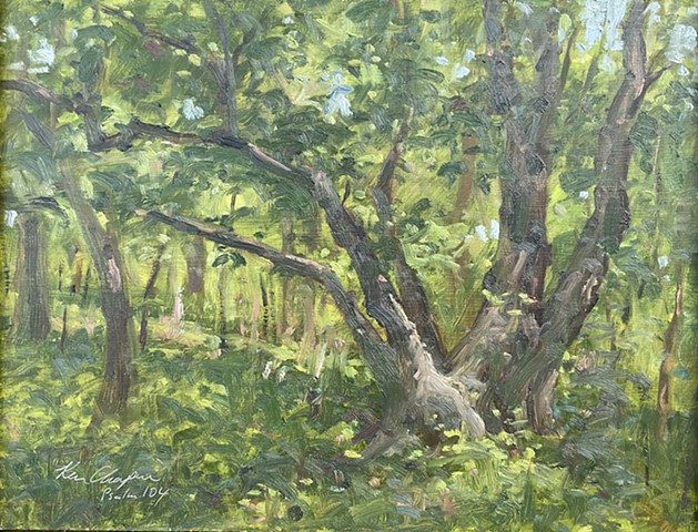 Burr Oak Woods, Plein Air Painting