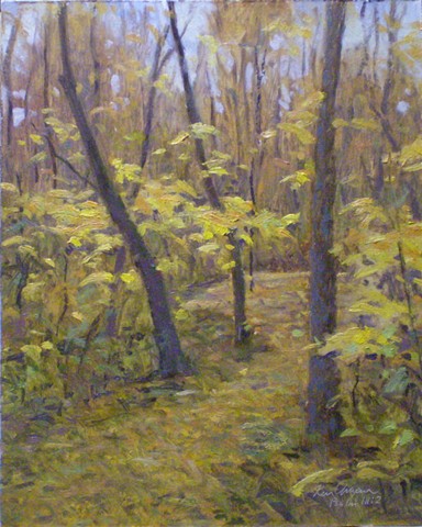 plein air landscape painting missouri Burr Oak Woods