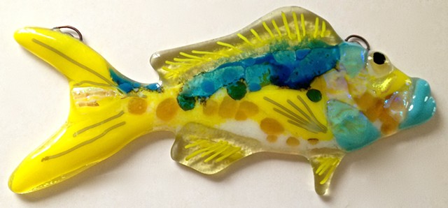 Small Yellowtail Snappers...

details:
about 6 3/4" long x 3" tall