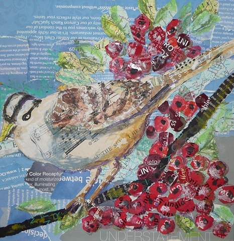 White Crowned Sparrow with Berries