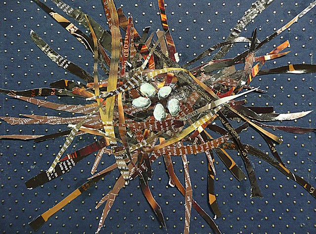 green heron nest collage
