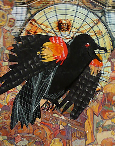collage of a red winged blackbird