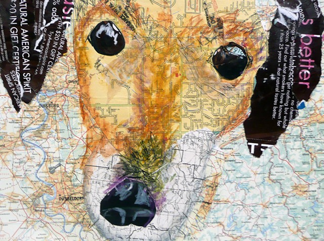 dog collage daushound