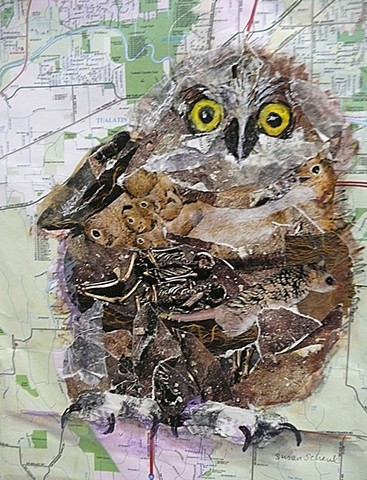 owlette collaged from pictures of owl prey